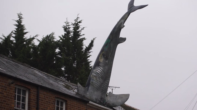 What do you think of the Headington Shark?