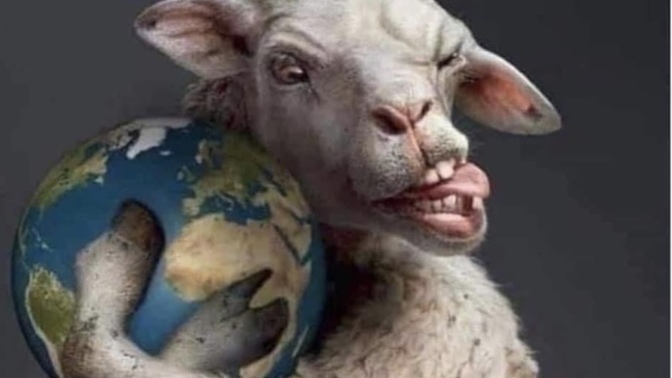 What is a sheeple?