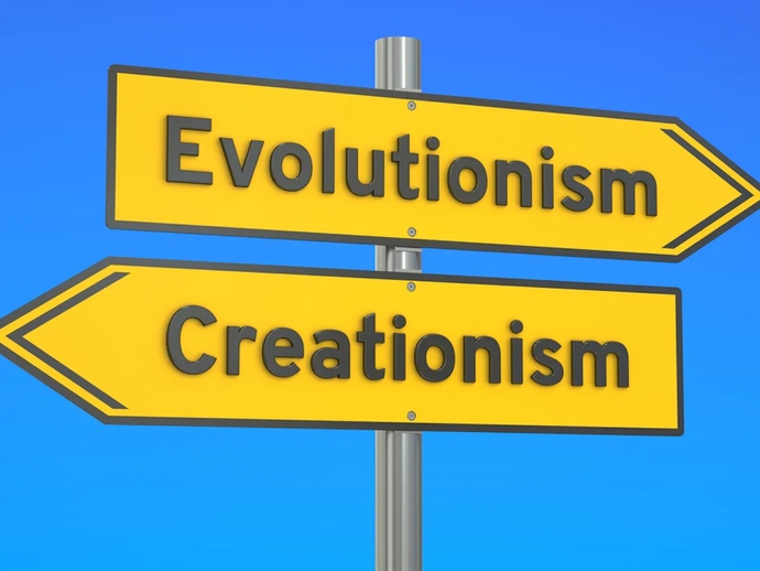 Are you an Evolutionist or a Creationist?