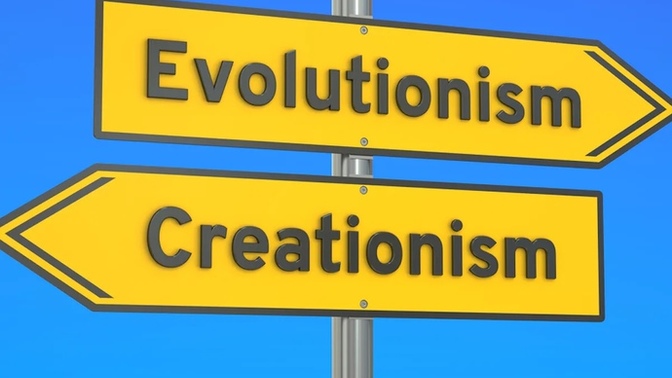 Are you an Evolutionist or a Creationist?