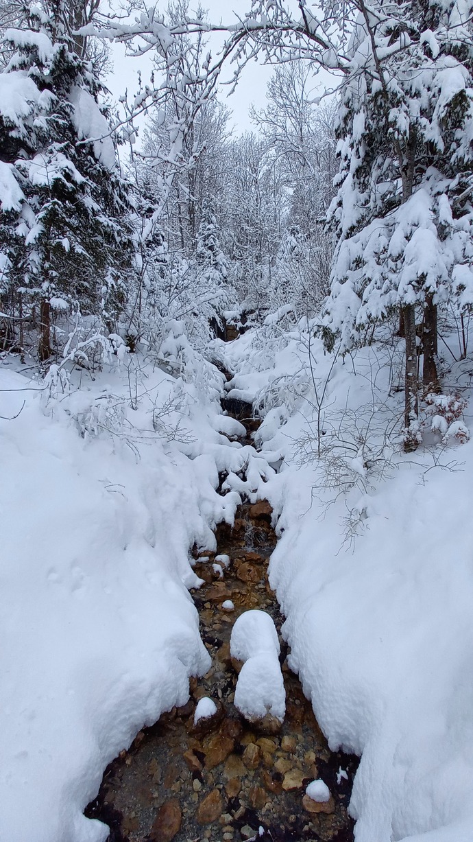 What's your favorite type of weather?