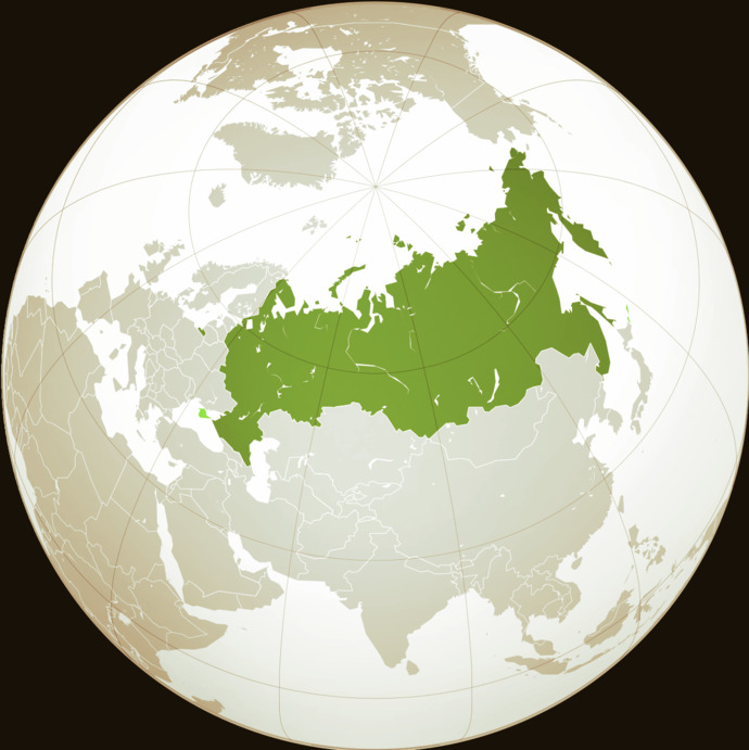Why do some Russians look a bit Asian?
