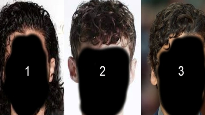Which Curly Hairstyle is the most attractive?