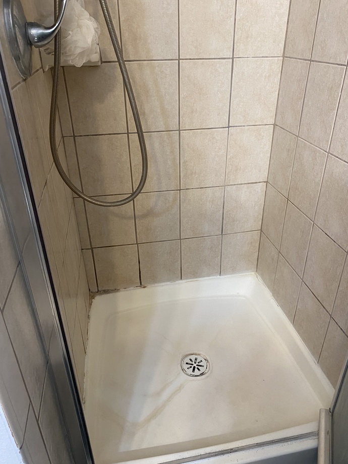 Why does my bathroom has bugs and cracks in the walls help?