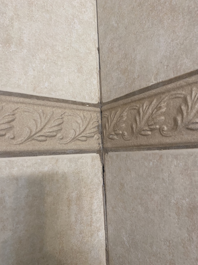 Why does my bathroom has bugs and cracks in the walls help? GirlsAskGuys