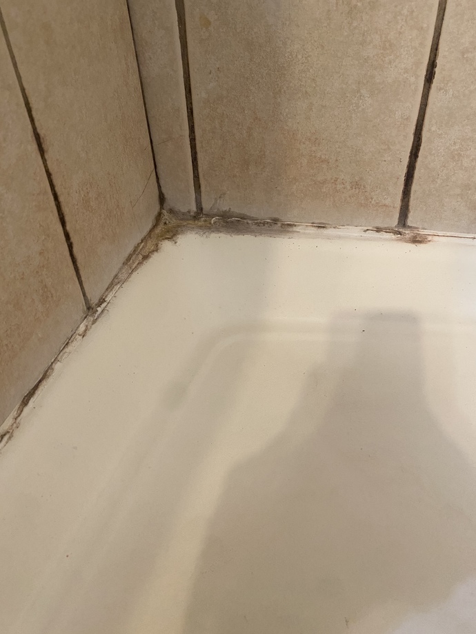 Why does my bathroom has bugs and cracks in the walls help? GirlsAskGuys