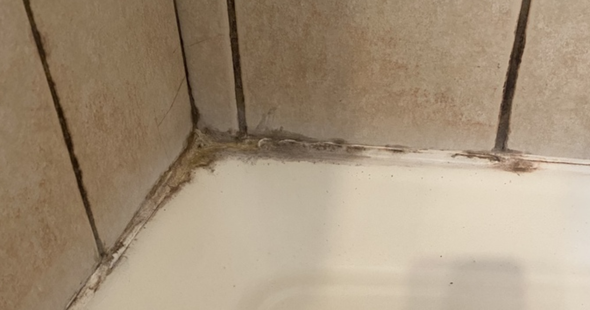 Why does my bathroom has bugs and cracks in the walls help? GirlsAskGuys