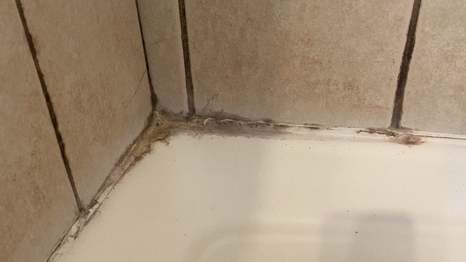 Why does my bathroom has bugs and cracks in the walls help?