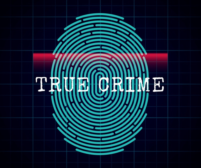All Crimes are Legal for 100 hours What crimes would you commit?
