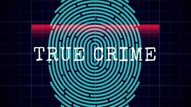 All Crimes are Legal for 100 hours What crimes would you commit?