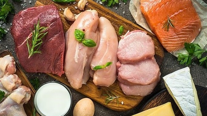 What do you think about an animal-based diet?