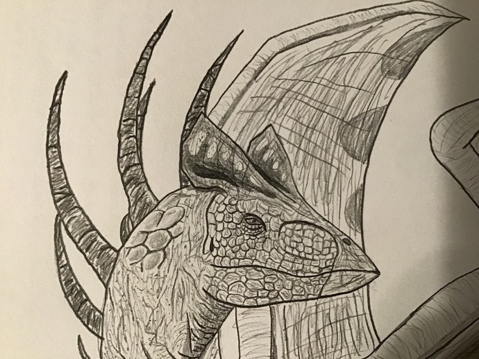 Do these look like dragons to you?