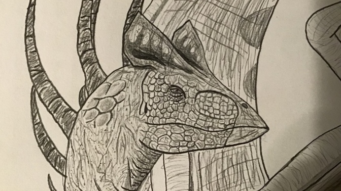Do these look like dragons to you?