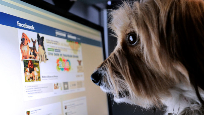 Do you like FB or more anonymous sites for social media?