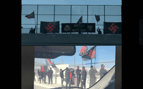 Why did joe call half the country fascists?