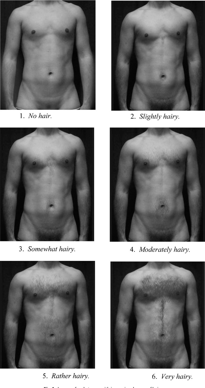 Girls, how much body hair would you prefer on your man?