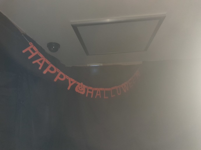 Do people where you live really celebrate the holidays or get into the holiday spirit?