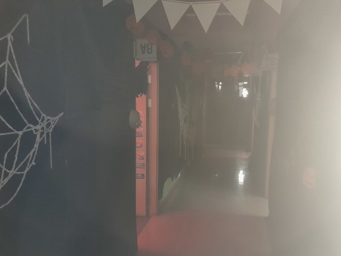 The Halloween hallways at the school I teach at.