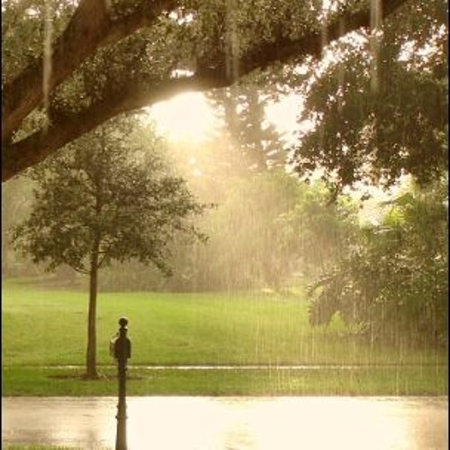 Who loves rainy weather?