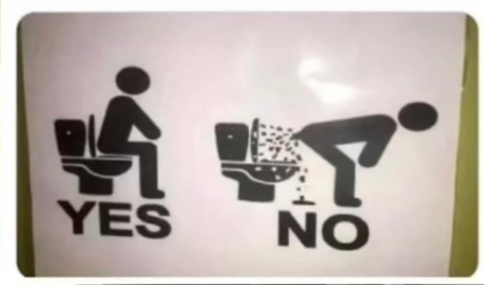 Is it true that American toilets have instructions?