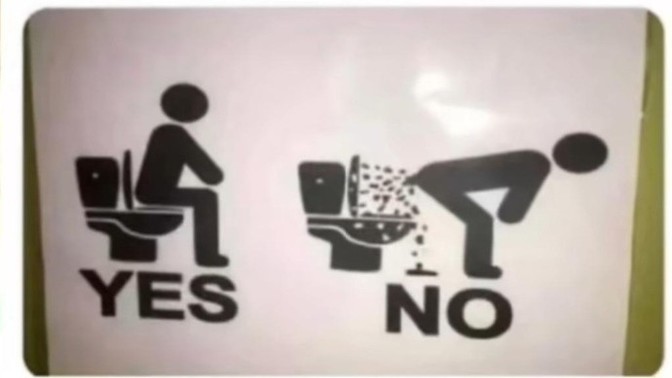Is it true that American toilets have instructions?