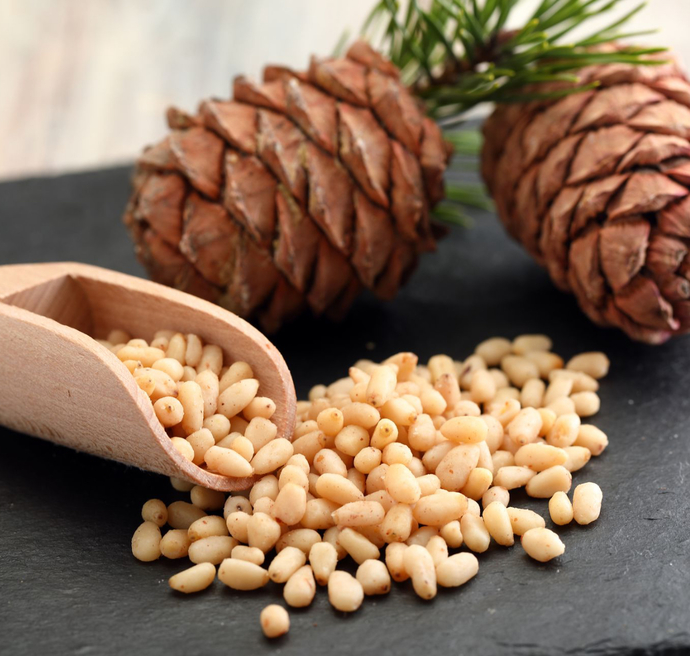 Are pinecones edible?