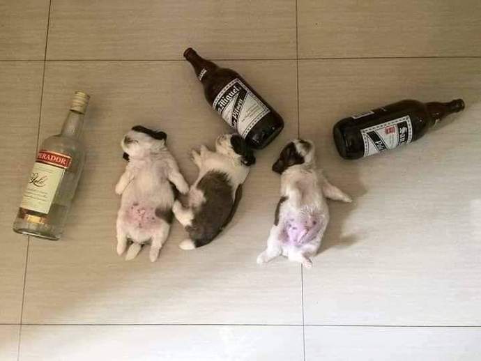 How much often you hang over when you drink 😂🍻?
