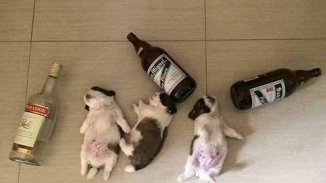 How much often you hang over when you drink 😂🍻?
