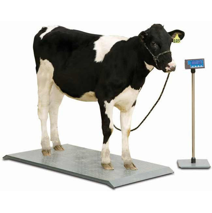 Any suggestions for a good high capacity scale me and my partner are both pretty heavy?
