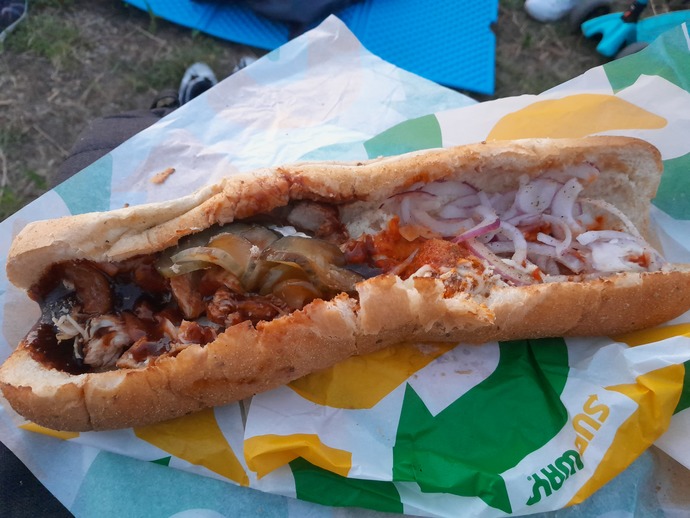 This is supposed to be a half BBQ Chicken, half Meatball Parm sub. Looks awful, though!