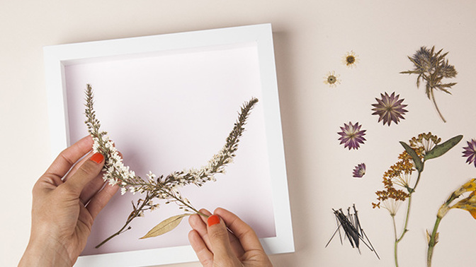 How do you keep roses/flowers given as a gift?
