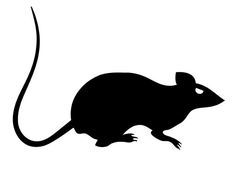 Whats your favorite Halloween animal?