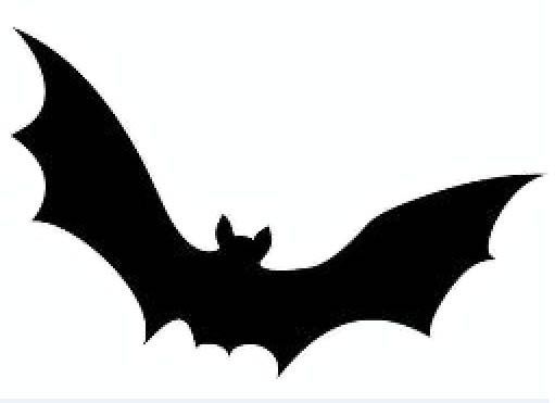 Whats your favorite Halloween animal?