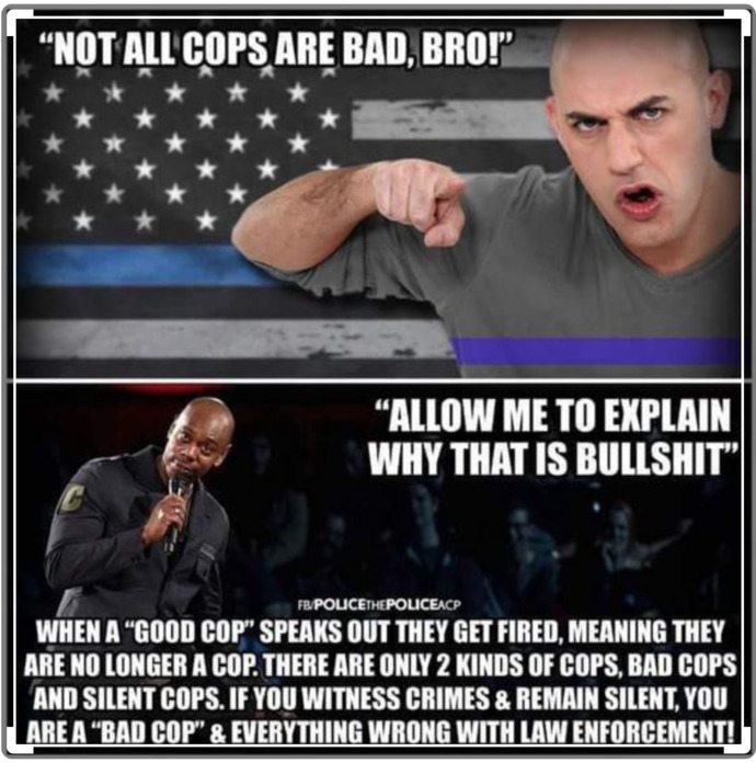 Which of these anti cop memes do you like the most?