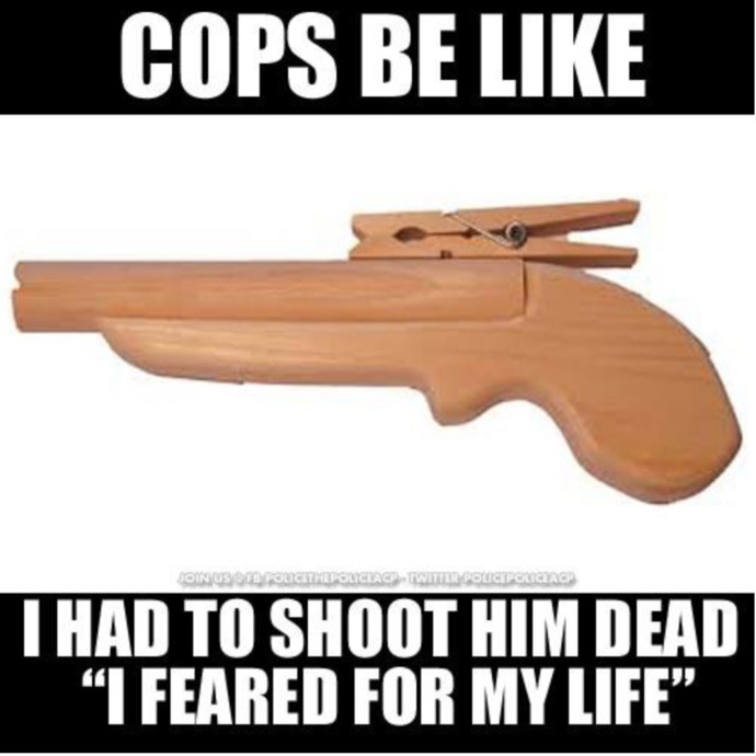 Which of these anti cop memes do you like the most?