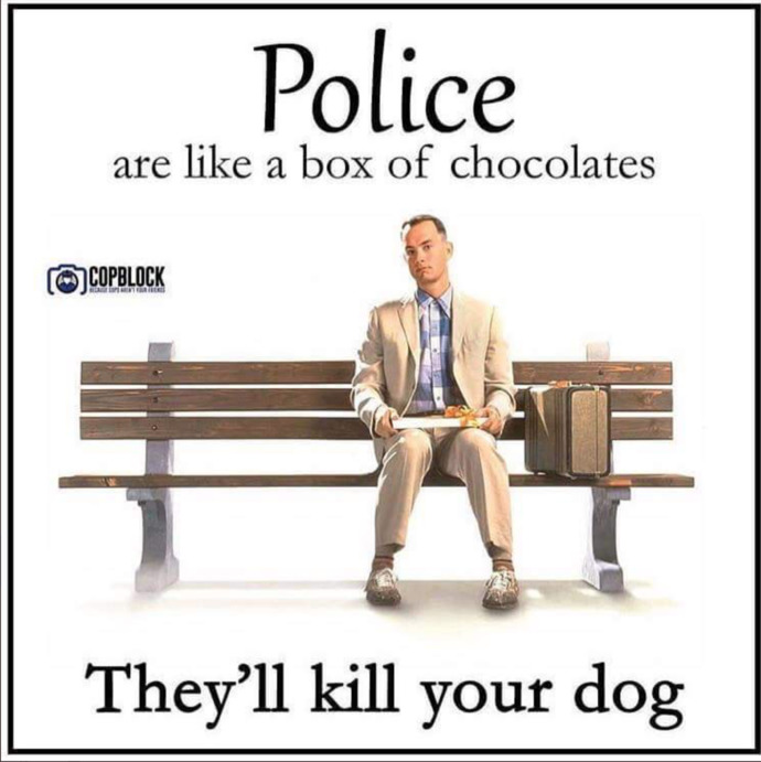 Which of these anti cop memes do you like the most?