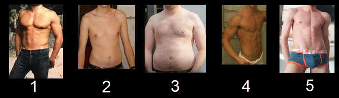 Wich bodies you want girls choose :))?