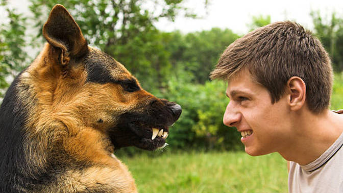 What's the deal breaker: friends, family, or pets not liking your potential partner?