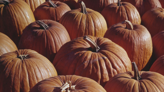 What's your favorite "vegetable" that's actually a fruit?