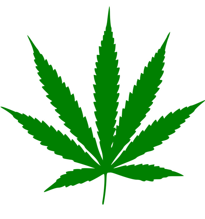 Do you use pot if yes why if no why ?