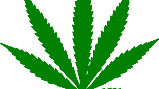 Do you use pot? If yes, why? If no, why?
