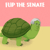 I keep having dreams about Turtles what does this mean ?
