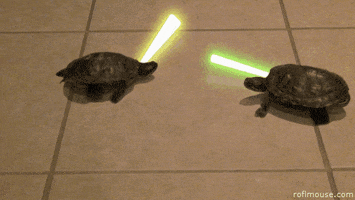 I keep having dreams about Turtles what does this mean ?