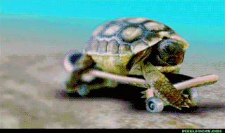 I keep having dreams about Turtles what does this mean ?