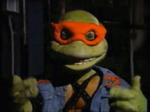 I keep having dreams about Turtles what does this mean ?