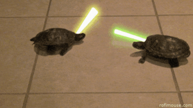 I keep having dreams about Turtles what does this mean ?