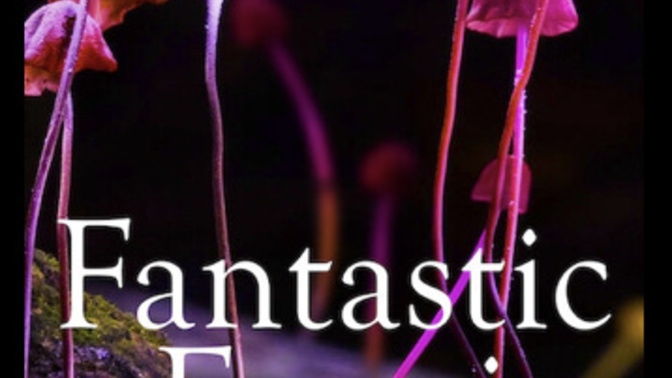 Have you seen the Netflix documentary Fantastic Fungi? Thoughts? I found it mind expanding…?
