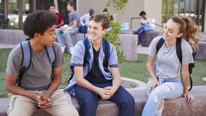 Do you still talk to your school friends?