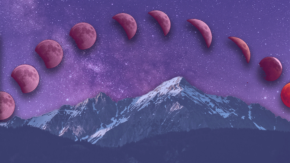 🌘🌗🌖🌑🌒🌓🌕🌔
