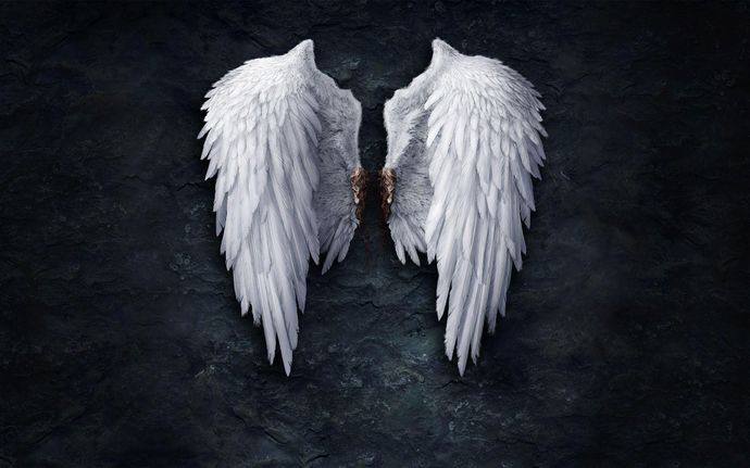 If you could have a physical feature like wings, horns, a tail, ect., what would you have?